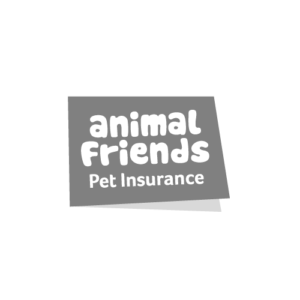 Animal Friends